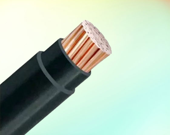 Single Core Cable 9
